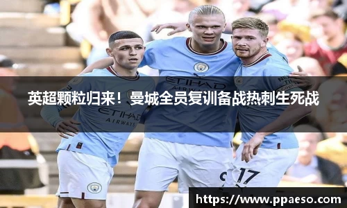 星空综合(中国)官方网站