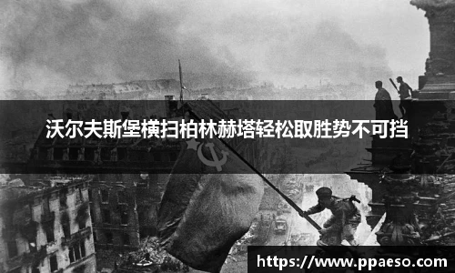 星空.综合体育官网