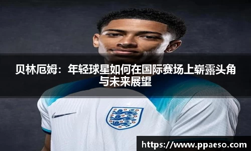 星空综合(中国)官方网站